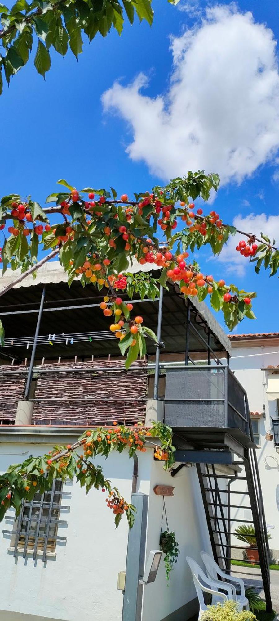 La Tenuta Di Eva Pisa Exterior foto