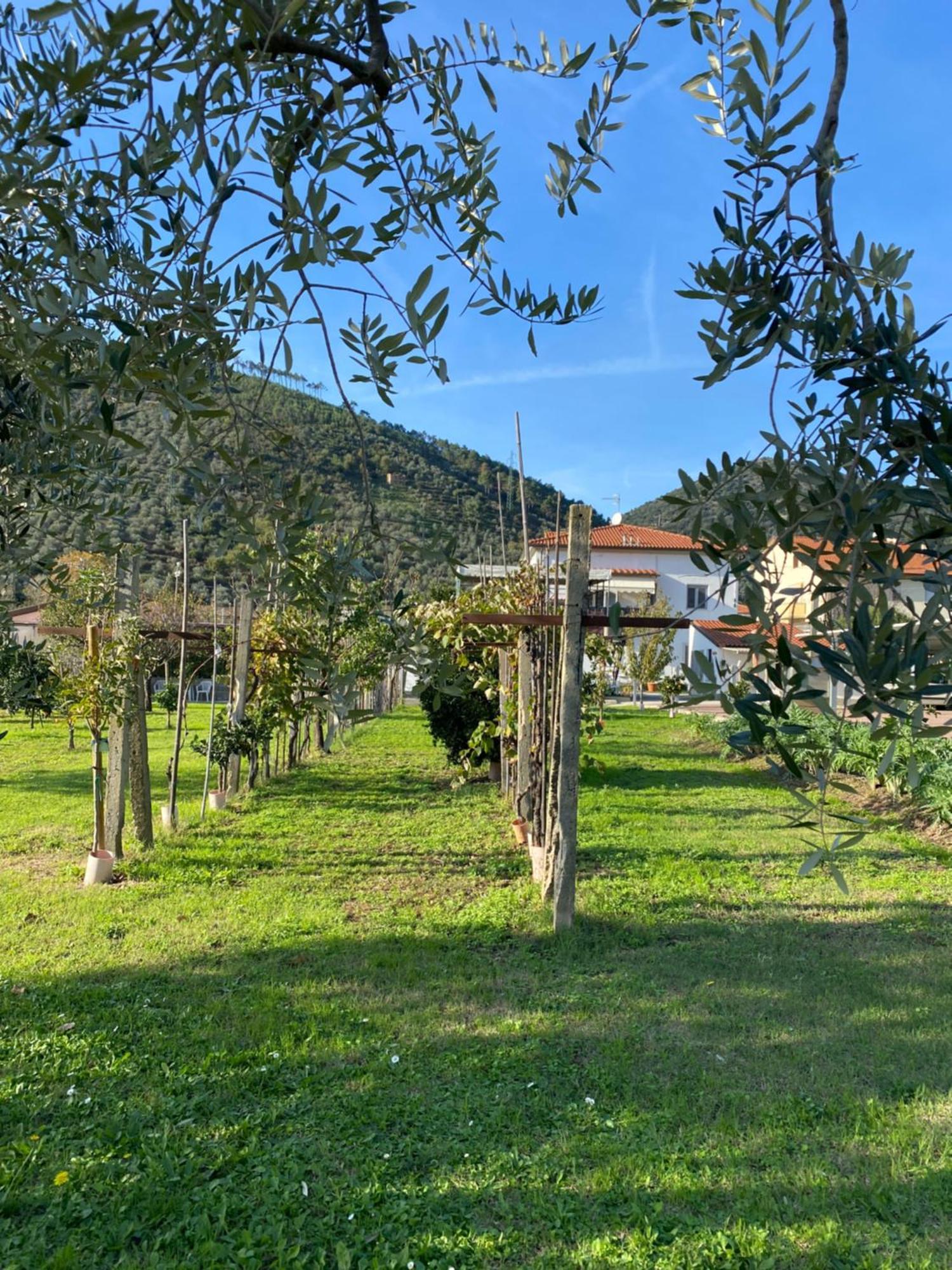 La Tenuta Di Eva Pisa Exterior foto